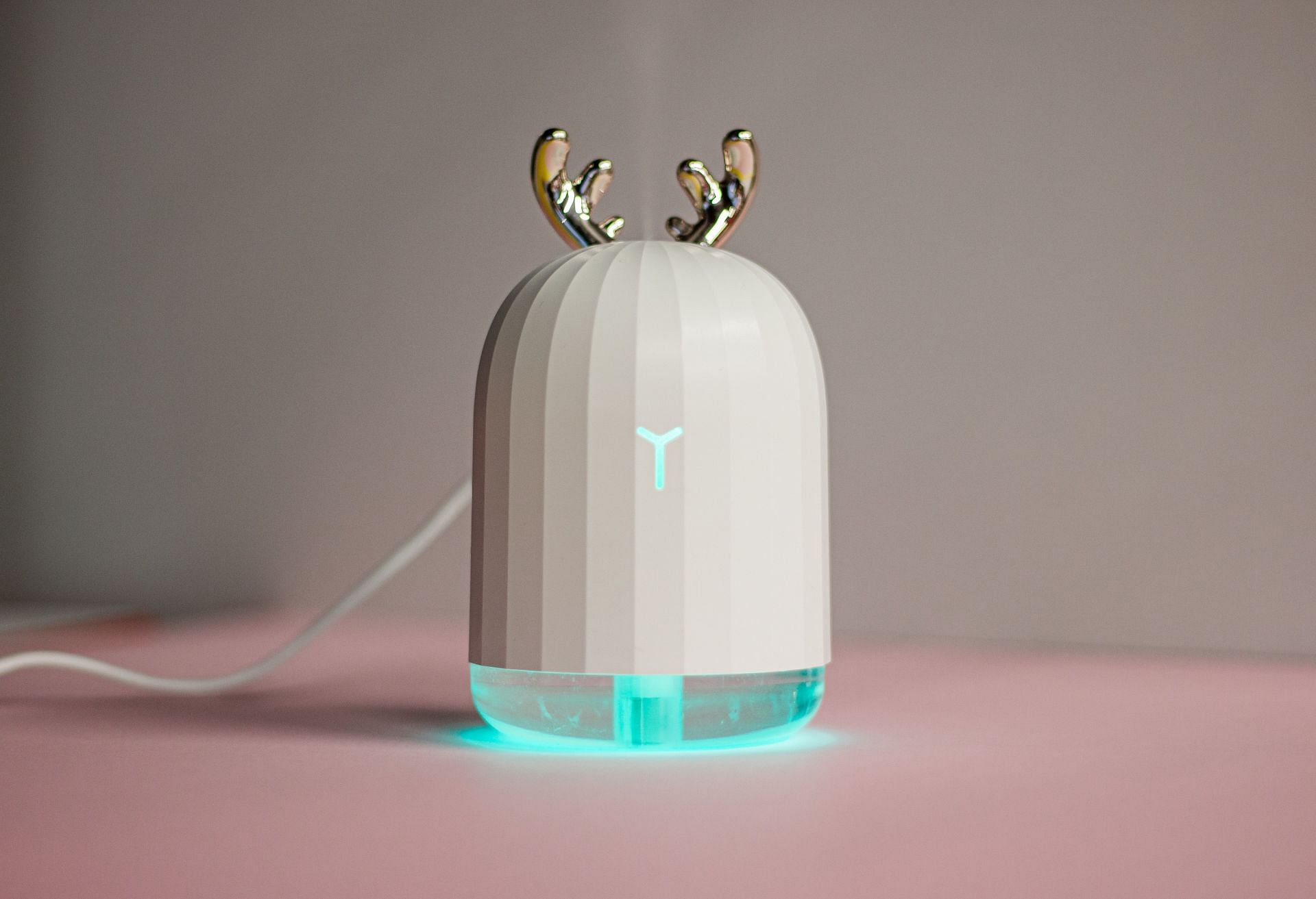 Use a humdifier to remove dust/allergies (Image via Unsplash/ Ulla Shinami)